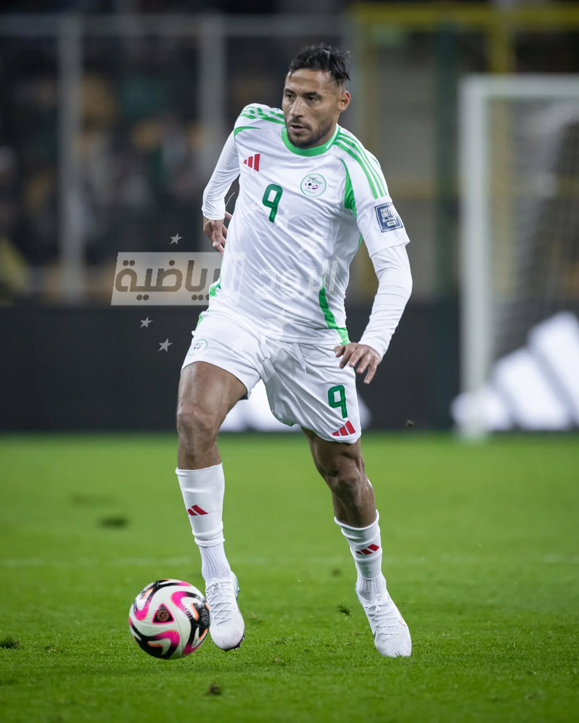 سيغيب رفقة توغاي عن تربص الخضر شهر جوان المقبل: بلايلي يُريد كتابة التاريخ مع الترجي في مونديال الأندية